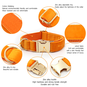 <span class=keywords><strong>2026</strong></span> Populaire trend: zachte fluwelen hondenhalsband met metalen gesp en hondenriem, bloemvormige accessoires kunnen in de halsband worden gedragen - Product Image 2