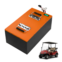 Batterie au lithium LiFePO4 76,8 V 100 Ah pour voiturette de golf, pack de batteries haute performance à décharge profonde avec BMS pour véhicules électriques (VE), véhicules légers électriques (VLE) et voitures de tourisme