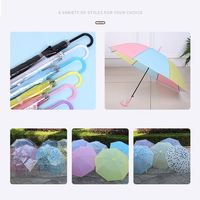 Paraguas Transparente de PVC Resistente al Viento con Logotipo Personalizado de Fábrica para Niños, con Caja de Embalaje con Impresión Personalizada y Diseño de Dibujos Animados
