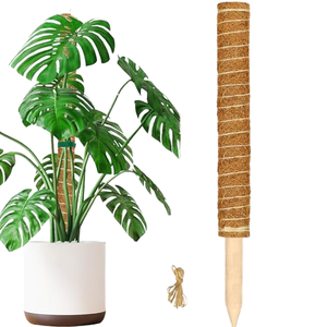 Poteau en fibre de coco – Noyau en bois robuste ou noyau en métal flexible |   Soutien naturel pour les Monstera, les Philodendron et les plantes grimpantes - Product Image 1