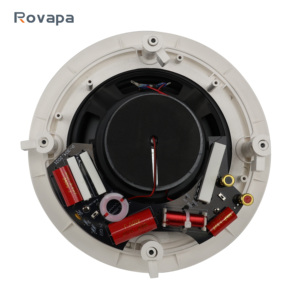 Haut-parleur mural PA haute performance de 8 pouces, 8 ohms, large réponse en fréquence, pour diffusion intérieure en salle de réunion et bâtiment - Product Image 2