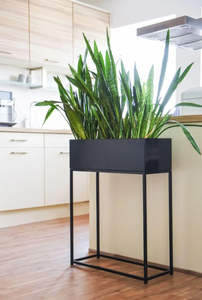 Support pour plantes d'intérieur/d'extérieur en acier inoxydable moderne Finition écologique enduite de poudre Pots de fleurs pour salon et salle à manger - Product Image 6