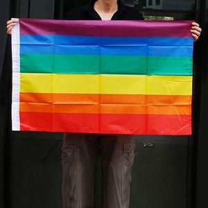 ธงสีรุ้ง Progress Pride ขนาด 4x6 ฟุต พิมพ์สองด้าน โพลีเอสเตอร์คุณภาพสูง เป็นมิตรกับสิ่งแวดล้อม พิมพ์ด้วยระบบดิจิทัล ธง LGBTQ สำหรับใช้งานกลางแจ้ง ทนทานต่อการซีดจาง - Product Image 3