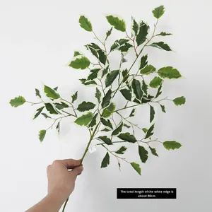 Nuova Pianta Artificiale Verde, Plectranthus a Foglia a Cuore, Baniano Francese in Plastica 80cm, Foglie per Ingegneria Paesaggistica - Product Image 6