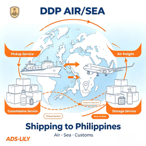 Service DDP Nigéria Économique avec Expédition Aérienne + Express et Assurance pour Compléments Alimentaires et Marchandises Sensibles - Product Image 1