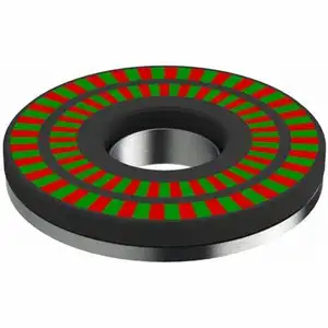 64 poli 128 poli 32 poli 24 poli 256 poli magnete ad anello al neodimio magnetizzato multipolare per codificatori di sensori magnete ad anello multipolare