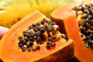 Enzyme de rennet de qualité alimentaire, extrait de <span class=keywords><strong>papaye</strong></span>, chymosine, rennet naturel, poudre de rennet - Product Image 3