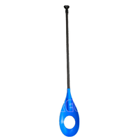 Ensemble de 2 planches unisexes en fibre de carbone pour le surf et le polo
