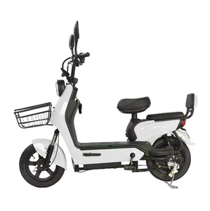 OEM/ODM Vélo électrique <span class=keywords><strong>cargo</strong></span> 2 places nouveau modèle de vélo électrique 350W 48V batterie cadres kit vintage avec OEM/ODM - Product Image 4