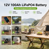 Batterie au lithium à décharge profonde Delong LFP12100 12V 100AH avec protection BMS, affichage Bluetooth, UPS, garantie 5 ans, certifiée CE