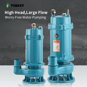 OEM Submersible Clean Water <b>Pump</b> 0.37KW High 1inch Irrigation for Farmland High Water Delivery Delivers Powerful Water - Product Image 2
