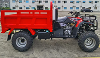 Meilleur vendeur 2025 Nouveau modèle KAINIU A T V 300CC Quad utilitaire à refroidissement par eau à forte charge utile pour le transport sur la plage et les travaux de ferme