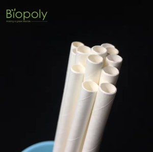 Cannucce di Carta Biodegradabili di Lusso BIOPOLY, Monouso, Portatili, a Forma di Z, Colorate e a Righe per Feste e Matrimoni - Product Image 6