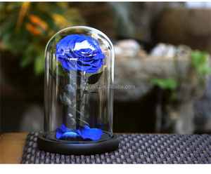 <span class=keywords><strong>E</strong></span> san valentino regalo all'ingrosso di vero fiore regalo per sempre di lunga durata conservato <span class=keywords><strong>rose</strong></span> fiori con cupola di vetro - Product Image 5