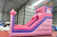 Château Gonflable Commercial Aquatique Personnalisé avec Impression Princesse, Toboggan Gonflable en PVC Facile à Installer pour Fêtes d'Enfants et Locations de Aires de Jeux