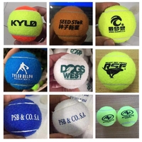 Balles de tennis professionnelles en caoutchouc naturel, vente en gros, personnalisables, colorées, pour la plage, l'entraînement et les jouets pour animaux de compagnie