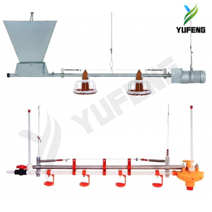 Modern Full-Automatic <strong>Chicken</strong> Broiler Floor Flat <strong>Raising</strong> Equipment Poultry Farming <strong>Chicken</strong> <strong>Feed</strong> Feeding Equipment - Product Image 3