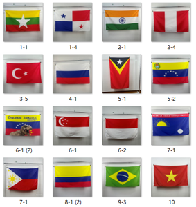 Bandiera a doppia faccia in tessuto poliestere <span class=keywords><strong>con</strong></span> <span class=keywords><strong>mappa</strong></span> <span class=keywords><strong>del</strong></span> <span class=keywords><strong>mondo</strong></span>, stampa digitale su fibra di vetro, regolabile per decorazioni da giardino, bar e feste - Product Image 6