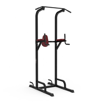 DY-3018 Soporte de Ejercicio Multifuncional para Gimnasio en Casa, Barra de Dominadas de Metal, Soporte para Sentadillas, Banco de Pesas, Soporte para Curl, Equipo de Fitness para Gimnasio en Casa