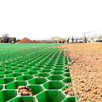 Pavé de grille d'herbe en plastique HDPE de haute qualité Excellent drainage pour jardin paysage extérieur route de terrassement industrielle