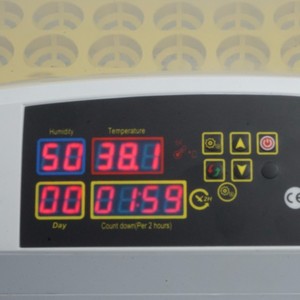 Incubadora Automática Hhd con Volteo de Huevos 42A, Huevos para Incubar en Venta en Jordania - Product Image 2