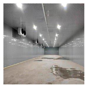 อาหารทะเลเนื้อวัวและปลาแช่แข็งอย่างรวดเร็วในห้องเย็น - Product Image 6