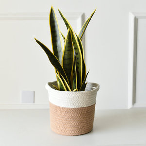 Woven Cotton <b>Linen</b> Flower Pot 30cm Round Handmade Indoor Plant <b>Basket</b> Storage <b>Basket</b> Modern Home Decor - Product Image 1