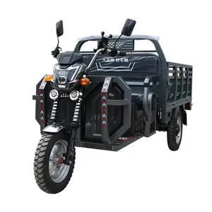 Motorcycle Factory Direct Sales 2024 New Cheap 3 Wheel Electric Cargo Motorcycle Tricycle For Adult Wholesale Open Electric Tricycles