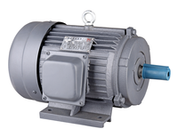 Moteur triphasé AC 25HP 18,5KW 2 pôles, conception IEC NEMA B, usine de moteurs locale chinoise, prix bas, haute qualité