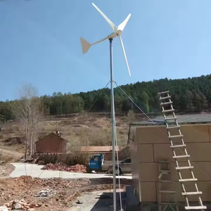 Générateur éolien à énergie libre 5000W 24V/48V/96V avec pales et contrôleur de charge MPPT pour usage domestique, fabriqué en Chine - Product Image 4