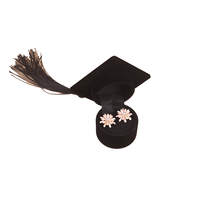 Boîte d'emballage de bijoux en velours noir et bleu, forme chapeau, motif uni simple, pour boucles d'oreilles, avec logo personnalisé, vente en gros