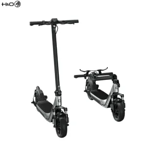 Mua New Style Max Power 1000 Wát 36V/48V Có Thể Gập Lại Trottinette Kick Electric EScooter Folding10 Inch Electr Scooter