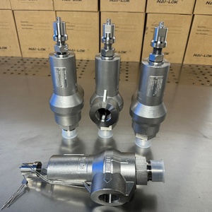 <span class=keywords><strong>Valvola</strong></span> di <span class=keywords><strong>Sicurezza</strong></span> NAI-LOK in Acciaio Inox 316, 1 Pollice FNPT X MNPT, a Molla, 20 Bar, Resistente alla Corrosione per Sistemi di Bombole del Gas - Product Image 4