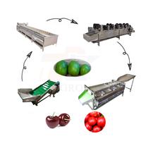 Commerciële fruit- en groentewas- en sorteerlijn, olijf- en kersentomaten sorteerlijn, passievrucht sorteermachine
