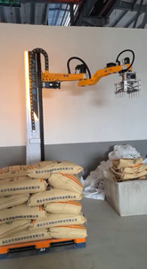 High-Speed Automatic Bag Depalletizing <strong>Robot</strong> For Sugar &amp; Flour | Intelligent Robotic Arm With Customized Solutions Available - Product Image 6