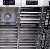 90/99 Laags Voedseldehydrator Machine Worst Rundvlees Vlees Voedsel Dehydratatiemachine Citroen Pitaya Sinaasappel Banaan Mango Fruitdroger