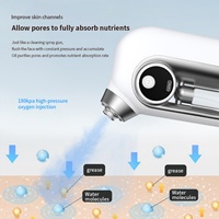Pulvérisateur facial portable USB à eau hydrogénée Nano-Tech pour une hydratation intense et un éclaircissement de la peau, idéal pour une utilisation en extérieur et à domicile