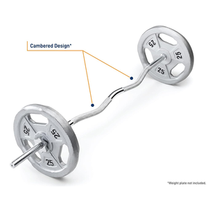 <span class=keywords><strong>Barre</strong></span> droite pour haltères de 47 pouces, <span class=keywords><strong>barre</strong></span> de musculation, <span class=keywords><strong>barre</strong></span> <span class=keywords><strong>EZ</strong></span> <span class=keywords><strong>Curl</strong></span>, <span class=keywords><strong>barre</strong></span> pour haltères, entraînement de force, exercices pour les <span class=keywords><strong>biceps</strong></span> - Product Image 2