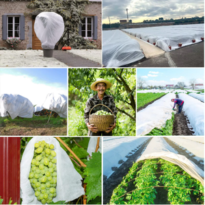 Frost Protection <strong>Fabric</strong> Agriculture <strong>Non</strong> <strong>Woven</strong> <strong>Fabric</strong> Frost Protection Bags Cover for Greenhouse - Product Image 5