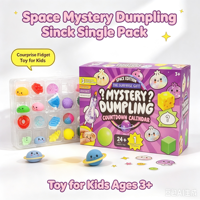 Calendrier de l'Avent Mystery Dumpling Space, Jouets Squishy TPR, Jouets anti-stress doux, Surprise pour enfants, Boîte mystère de Noël, Cadeau