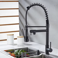 Robinet de cuisine moderne en acier inoxydable brossé noir, style ressort, robinet de cuisine extractible