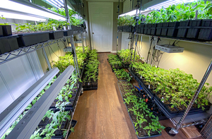 ชั้นวางปลูกไมโครกรีนในร่มที่ได้รับการรับรองจาก NSF - Product Image 3