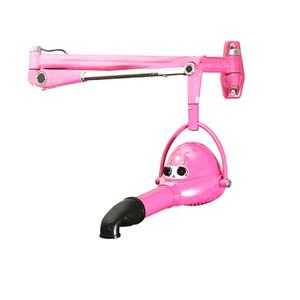 Animalerie Chat Chien Toilettage Styling Spécial Faible Bruit Ion Négatif Grand Sèche-Cheveux Mural Machine à Tirer les Cheveux - Product Image 3