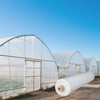 Film de serre agricole double couche 200 microns grande taille, très populaire, pour abri de jardin, tente tunnel et serres agricoles