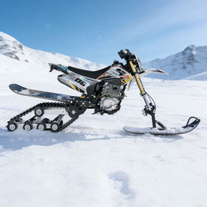 Moto da Cross 300CC per Neve e Sabbia, Veicolo Crawler Modificato per Pista di Neve - Product Image 6