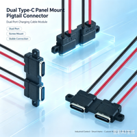 Connecteur de charge double port Type-C LN-01, double prise USB-C, deux connecteurs DC à 2 broches avec oreilles de fixation et câbles