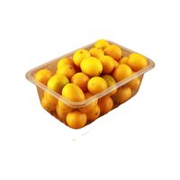Boîte de rangement alimentaire jetable rectangulaire en PP, compatible micro-ondes, pour plats à emporter