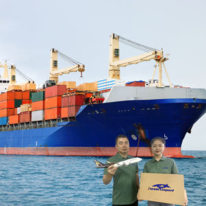 Tarifas de Transporte Marítimo Más Baratas y Rápidas DDP en Contenedores desde China Shenzhen a EE. UU., Canadá, Reino Unido y Australia - Product Image 4