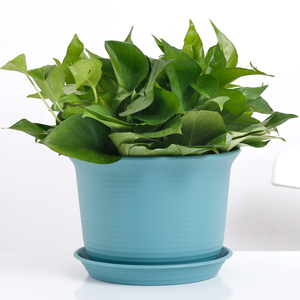 Pots de jardinage en plastique PP durables et écologiques en gros, pots à bonsaï, pots à fleurs, jardinières pour plantes succulentes, style classique avec <span class=keywords><strong>soucoupe</strong></span> - Product Image 6