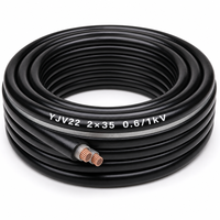 Câble d'alimentation blindé YJV22 2 conducteurs 35mm² 0,6/1kV, câble de distribution souterrain basse tension 2*35